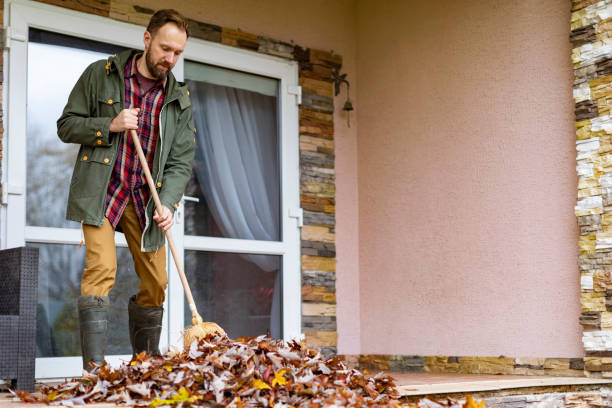 Best Junk Removal Near Me  in Holtville, CA